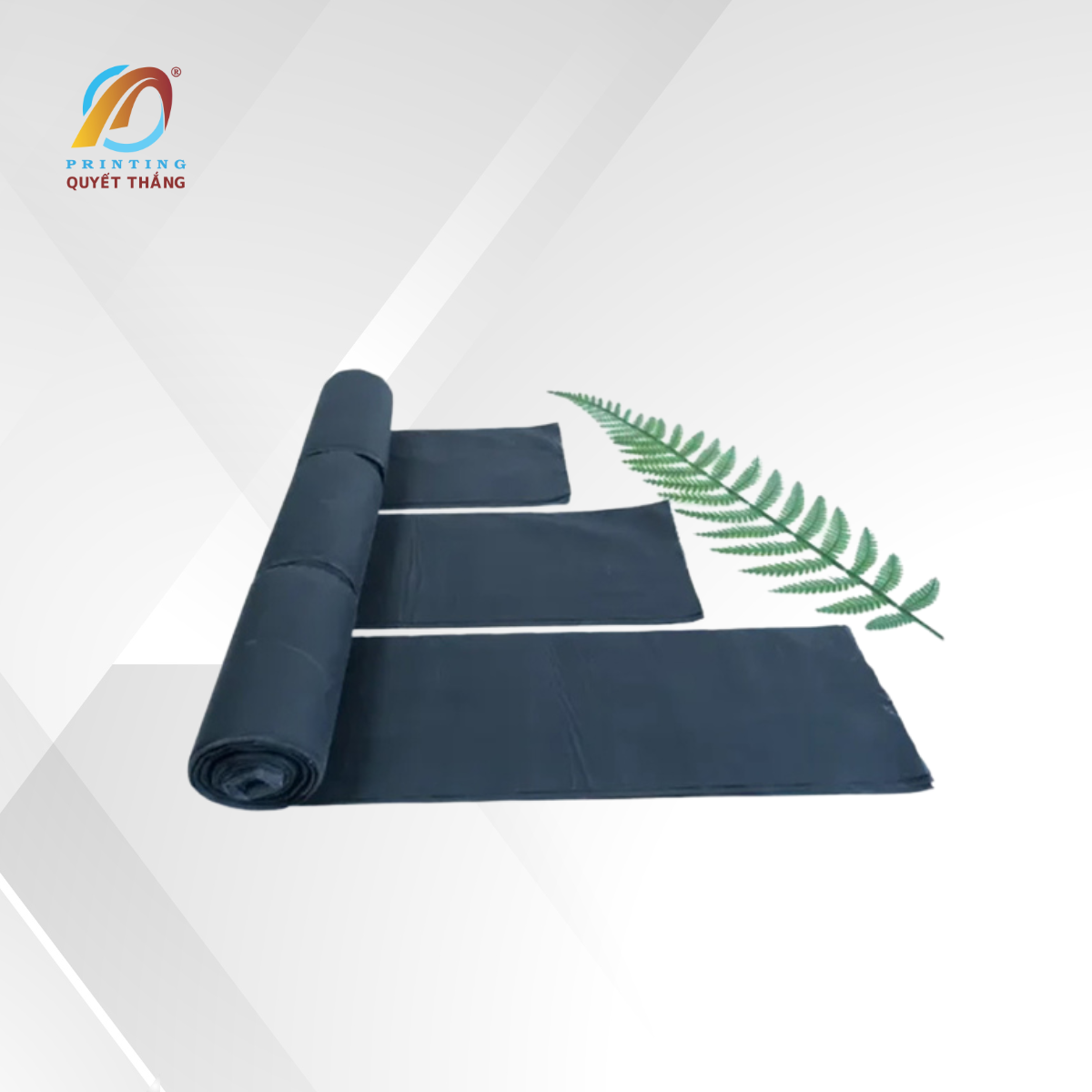 Bản sao của Web sp (2)